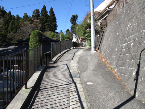 20151127hike (249)